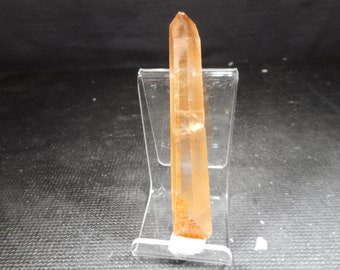 Lemurian Golden Healer #2