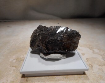 May include: A dark brown, raw mineral specimen with a faceted, crystalline structure and a glossy, reflective surface. The stone is mounted on a small, white, square plastic display base that provides a stable platform for the irregular rock.