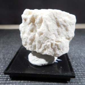 May include: A light-colored, textured mineral specimen, possibly a rock or crystal, sits on a small black display base. The mineral has a rough, uneven surface and a creamy white color. The background is dark.