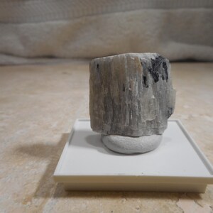 Op de afbeelding: Een ruw, cilindrisch mineraal specimen, voornamelijk grijs met zwarte insluitsels, wordt gepresenteerd op een witte rechthoekige basis. Het mineraal staat op een kleine, afgeronde, grijze steun, tegen een neutrale beige achtergrond.
