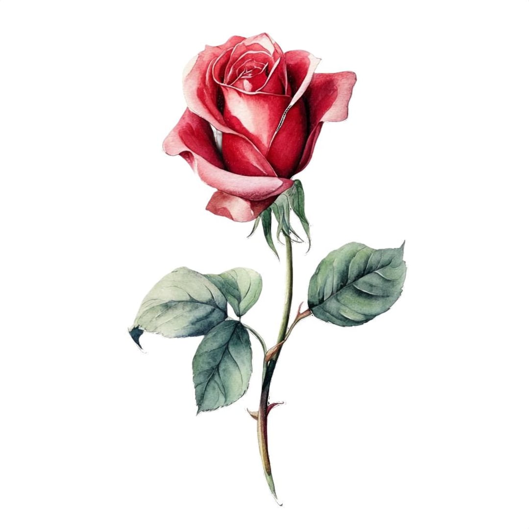 10 Printable Rose Flower, Red Roses Art, Red Roses Jpgs, Summer Wedding ...