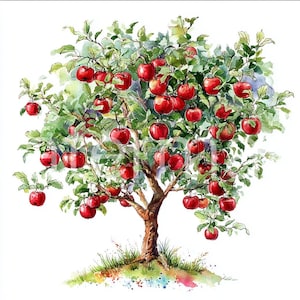 Op de afbeelding: Waterverfillustratie van een appelboom vol rijpe, rode appels. De boom heeft een bruine stam en groene bladeren, tegen een witte achtergrond. De boom is geworteld in een stuk groen gras met kleurrijke aquarelaccenten.