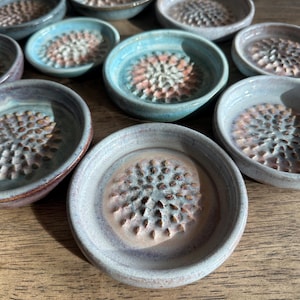 Peut inclure: Ensemble de petits plats à râper en céramique, dans des tons de bleu, gris et rose. Chaque plat présente une surface de râpage texturée au centre, idéale pour râper l'ail ou le gingembre. Les plats sont disposés sur une surface en bois.