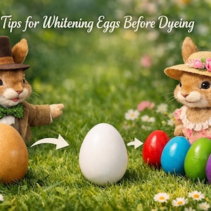 May include: An image with the text "Tips for Whitening Eggs Before Dyeing". Two bunny figures are shown, one in a suit and the other in a dress, with eggs in various stages of preparation and dyeing. The eggs are brown, white, red, blue, green, purple, and pink.