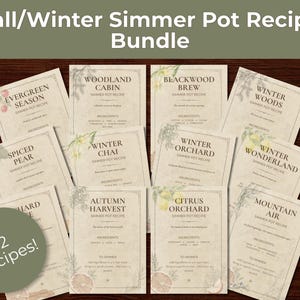 Op de afbeelding: Een verzameling van twaalf rechthoekige receptkaarten getiteld Fall/Winter Simmer Pot Recipe Bundle. Elke beige kaart bevat botanische illustraties, zwarte tekst met ingrediëntenlijsten en instructies voor sudderpotrecepten zoals Woodland Cabin en Citrus Orchard.