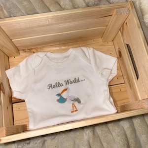 May include: A white baby bodysuit featuring the embroidered phrase "Hello World..." and a stork design. The garment is presented inside a light wooden crate, set against a soft, textured background.