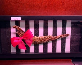 May include: A framed display featuring a natural bone structure, adorned with a vibrant pink bow. The background showcases a black and white striped pattern. The frame is black.