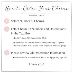 May include: An instructional graphic titled How to Order Your Charms with three numbered steps. It details selecting the number of charms, entering ID numbers and descriptions, and reviewing information, including notes on 6mm and 7mm jump rings.