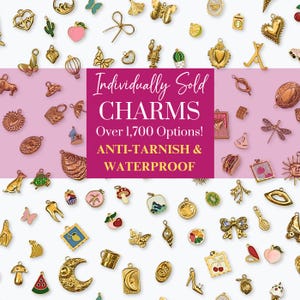 以下が含まれることがあります： ピンクと白の背景に、蝶、ハート、果物など、さまざまなデザインのゴールドカラーのチャームのコレクション。画像には「Individually Sold CHARMS」と「ANTI-TARNISH & WATERPROOF」というテキストが含まれています。