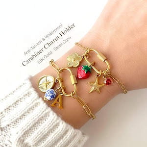 May include: Gold-coloured charm holder bracelet with various charms, including a strawberry, starfish, and initial "A". The bracelet has a carabiner clasp and is labelled "Anti-Tarnish & Waterproof".
