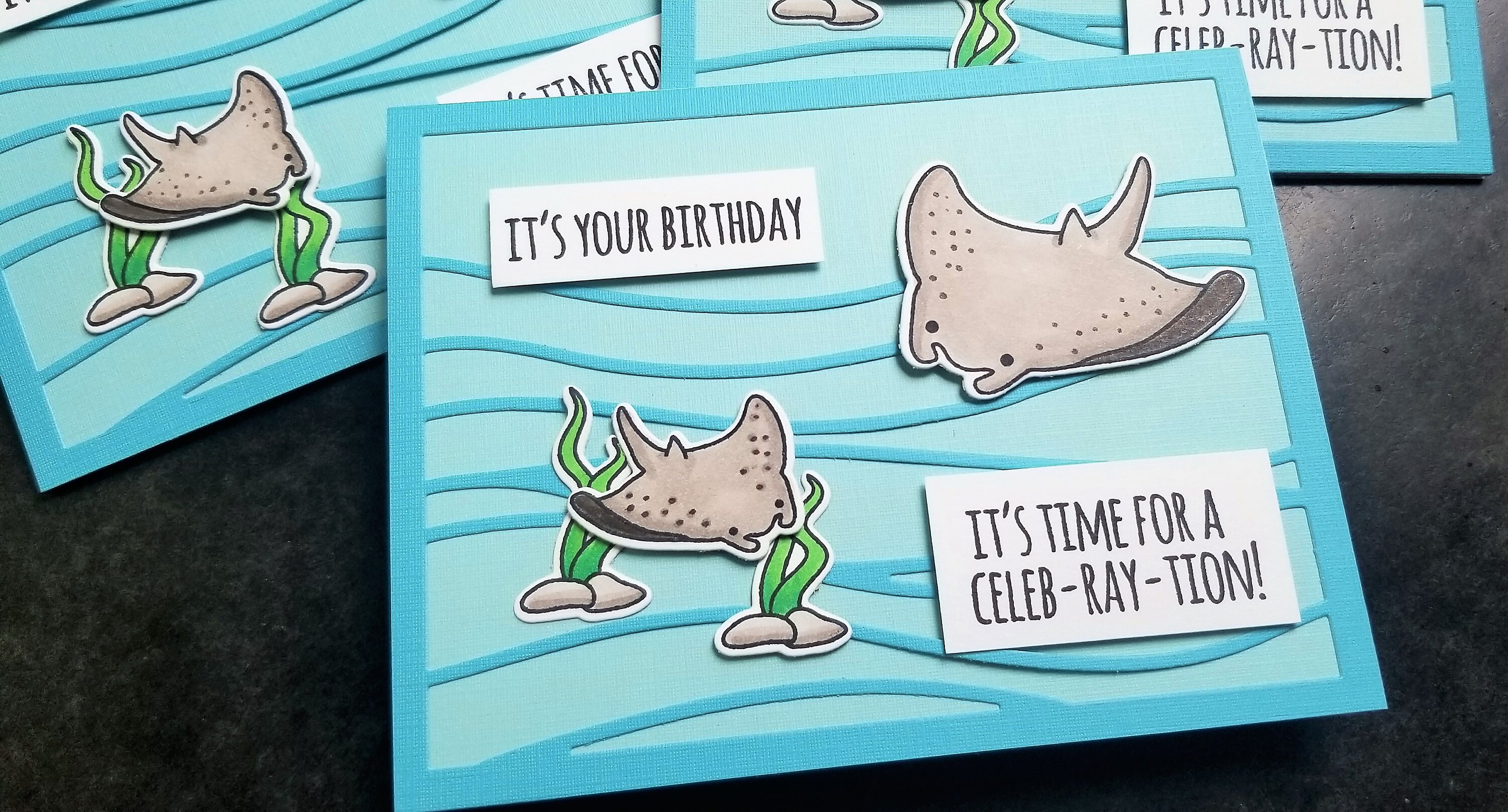 Carte D Anniversaire Manta Ray Pour Plongeur Snorkeler B Day Card Ocean Lover Cadeau