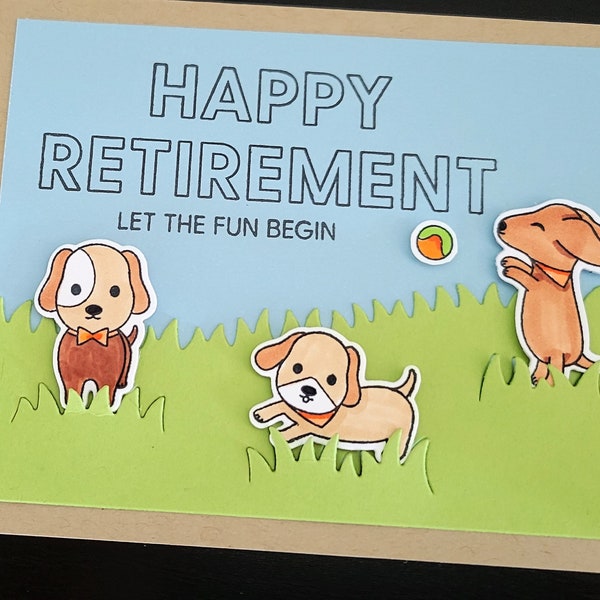 Veterinarian Retirement Gift 60+ Gift Ideas for 2024
