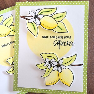 Tarjeta de aliento para amantes de la comida, tarjeta para cualquier ocasión para chefs, tarjeta de cumpleaños con limón, tarjeta de agradecimiento con fruta para jardineros, te doy un apretón