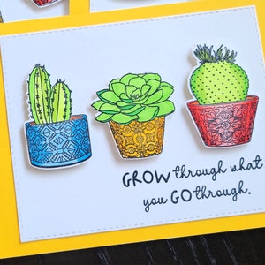 Tarjeta de ánimo para jardineros, regalo para amantes de las plantas, tarjeta "Pensando en ti" con suculentas para amantes de las plantas, tarjeta de "Mejórate pronto" con cactus, tarjeta de divorcio.