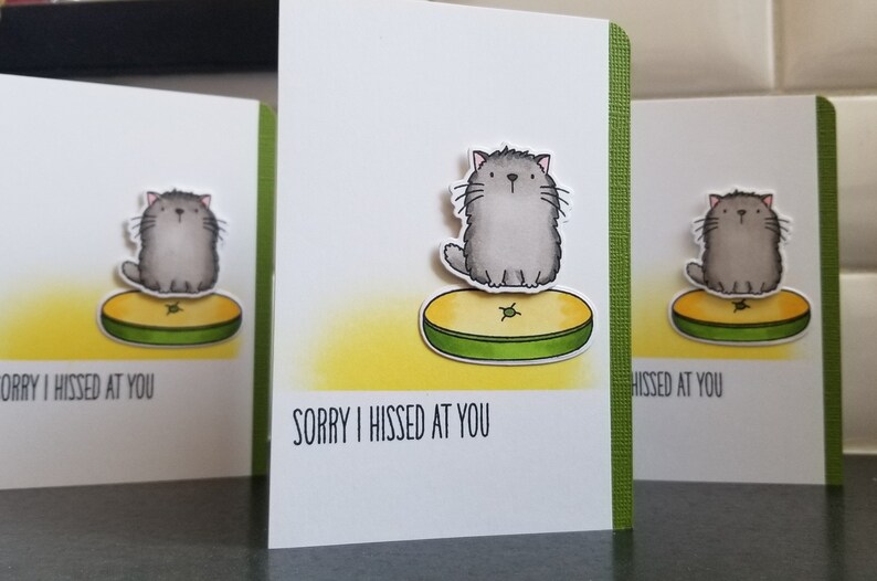 Cat Lover Gift Cat Forgive Me Sorry I Hissed at You Kitty Apology Card Sorry Card for Boyfriend I/'m Sorry Card