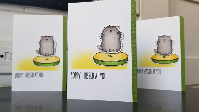 Cat Lover Gift Cat Forgive Me Sorry I Hissed at You Kitty Apology Card Sorry Card for Boyfriend I/'m Sorry Card