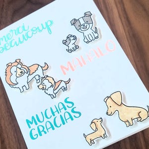 Carte de remerciement chien, carte Mahalo, Merci Beaucoup, Muchas Gracias, remerciement teckel, carte de voeux colley,