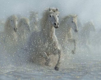 Wild Horses Running Wild Fabric Panel from Riley Blake 100% Cotton PD 15532 36" x 42" - Free shipping U.S.