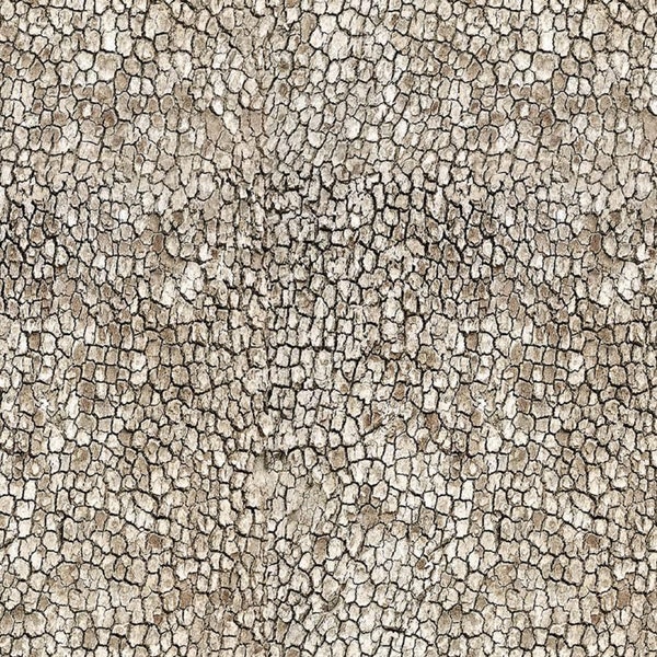 Naturescapes by Deborah Edwards from Northcott Cotton Quilt Fabric 21402 34 Neutral -  By the Yard - Free shipping U.S.