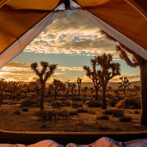 Desert Sleeping Under the Stars Digital Panel from Hoffman Fabrics Cotton Quilt Fabric U5076H-193- 30&quot; x 42&quot;  - Free shipping U.S.