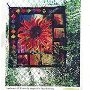Feng Shui Quilt Pattern Designed By Mary Patterson 33&quot; X 34 - Free shipping U.S.