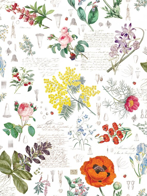 Earth Digital Panel from Hoffman Fabrics 100 Cotton Quilt Fabric