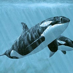 Mother Son Orcas Panel by Four Seasons from David Textiles 100% Cotton Quilt Fabric   AL36739C1 36&quot; x 44&quot; Free shipping U.S.