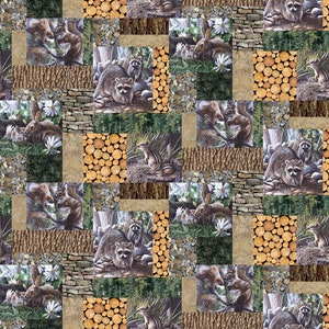1 yard Friends of the Forest Kevin Daniel from Northcott Fabric 22086 36 -  Free shipping U.S.
