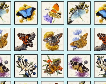 Butterflies & Moths Panel by Carl Brenders from Elizabeth's Studio Cotton Quilt Fabric 9800 Sky Blue 23" x 42"- Free Shipping U.S.