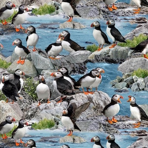 Puffins from Elizabeth&#39;s Studio Cotton Quilt Fabric 567 Blue - By the Yard - Free Shipping U.S.