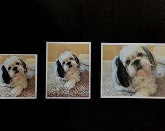 Custom Photo Magnets | Personalized Gifts, Fridge Decor