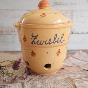 Könnte beinhalten: Ein hellbeiger Zwiebeltopf aus Keramik mit passendem Deckel, verziert mit dem Schriftzug Zwiebel in dunkler Schreibschrift, kleinen orangefarbenen Blumenmotiven und grauen Punkten. Der Topf hat zwei seitliche Griffe und drei Belüftungslöcher.