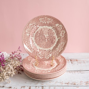 Set di 6 piattini vintage in porcellana transferware rosa-rosso, paesaggio di cigni in pietra di ferro inglese