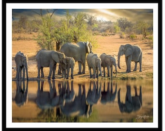 Elephant Family Print: African Safari Wildlife Photography