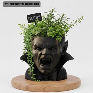 Gotische dracula buste plantenbak | Multifunctionele bureau-organizer (digitale download STL-bestand)