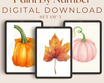 Fall Paint by Numbers Kit | Procreate Coloring Pages (Digital Download)