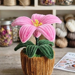 Pode incluir: Uma escultura floral artesanal feita de limpadores de cachimbo felpudos. A flor apresenta seis pétalas rosa vibrantes com um centro amarelo, sustentadas por um caule e folhas verdes. Está plantada numa base cilíndrica castanha de limpadores.