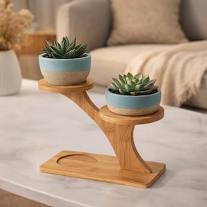 May include: A two-tiered bamboo plant stand holding two small succulent plants in blue and tan ceramic pots. The stand has a curved design and a rectangular base. The plants are green and add a touch of nature to the decor.