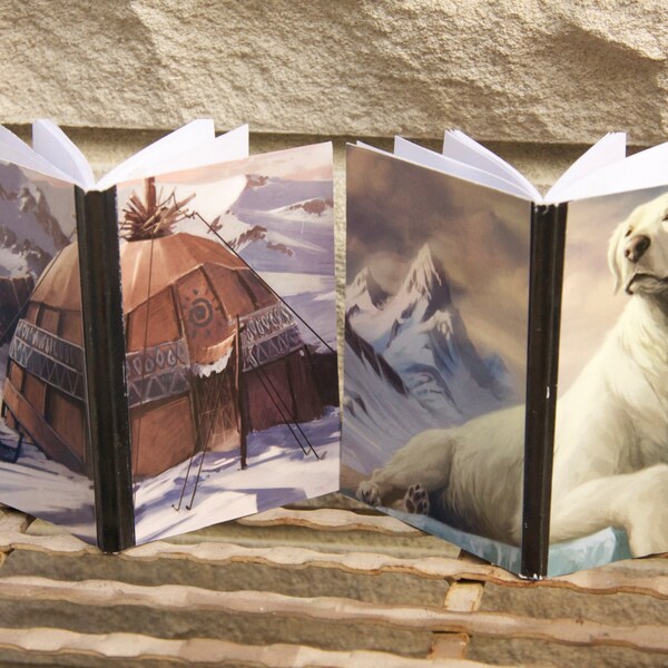 2 Mini Korra Avatar Naga and Traditional Watertribe house mini notebooks -- NEW
