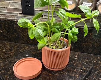 Eco-Friendly 3D Printed Planter – 4" Pot with Tray for Succulents or Herbs