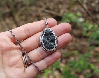 Oyster // Trilobite Fossil Necklace // Sterling Silver // Hand Crafted // Artisan // Eco Friendly