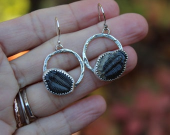 Trilobit Ohrringe // Sterling Silber // Handgefertigt // Handwerkskunst // Eco freundlich