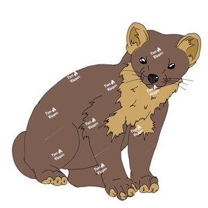 Puede incluir: Ilustración de dibujos animados de una marta parda marrón con pelaje canela alrededor del cuello y las orejas. La marta está sentada con las patas hacia adelante, y la imagen tiene el texto "Fines Whispers" repetido en el cuerpo.