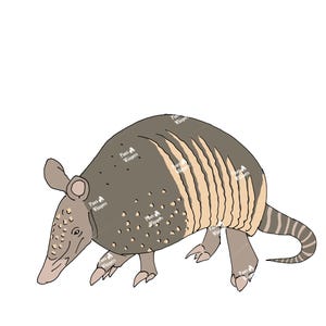 May include: Illustration of an armadillo in shades of gray and tan. The armadillo has a rounded body with striped markings and small, light-colored spots. Its head is elongated with a pointed snout and small ears.