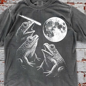 Retro Frog Moon Graphic Tee: Comfort Colors Vintage Shirt