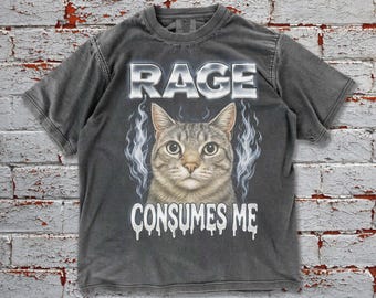Rage Consumes Me Cat Comfort Colors Tee, Funny Cat Meme T-Shirt, Vintage Unhinged Cat Tee, Silly Cat Graphic Shirt, Weird Humor Unisex Shirt