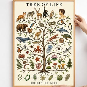 Peut inclure: Une affiche encadrée intitulée TREE OF LIFE et ORIGIN OF LIFE présentant une illustration d'arbre central avec divers animaux, plantes et micro-organismes disposés sur ses branches et ses racines, dans un style détaillé, coloré et scientifique.
