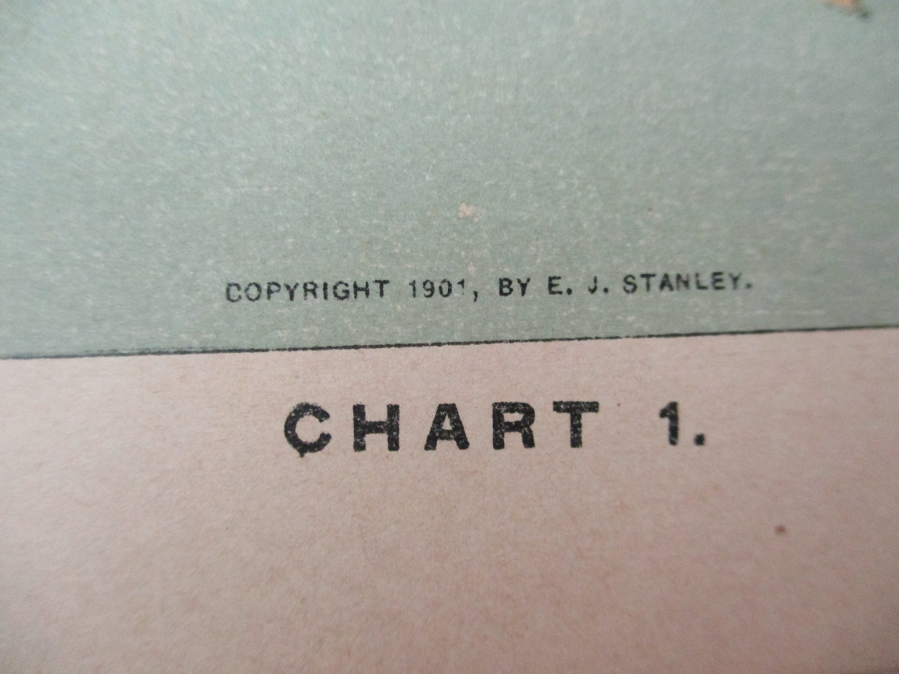 4 part original overlay color lithograph Medical CHARTS ...