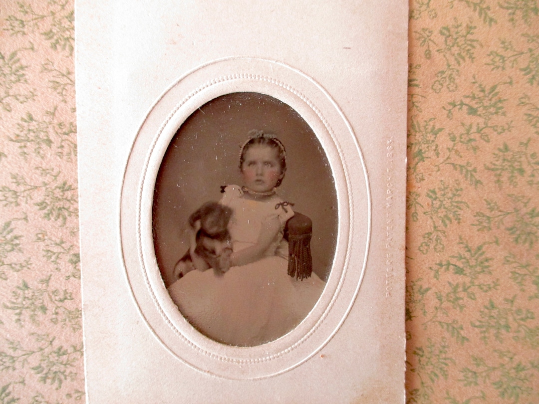 Antique Tintype Photo 1800s, Girl With Dog, Puppy, Pet, Tinted Cheeks