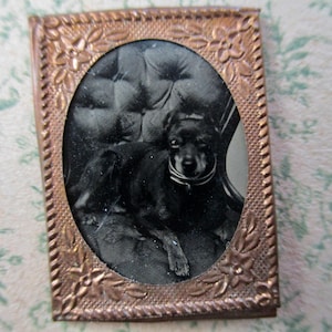 Vintage the black dog - Gem